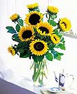 sunflowers