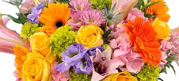 Pugh's Flowers Congratulations Floral Gifts Voted Best Flower Shop In 2018