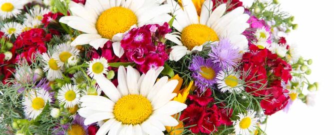 Pugh's Flowers Offers The Best Labor Day Flowers and Plants Corporate Gifting