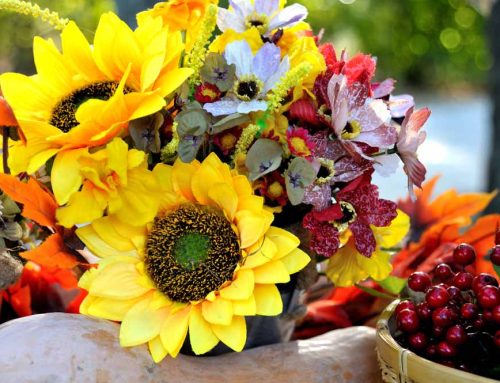 Autumn Flowers to Brighten Your Home and Heart