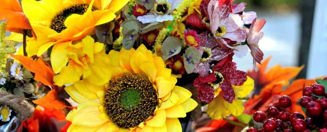 Pugh's Flowers Offers Lovely Autumn Flowers and Plants