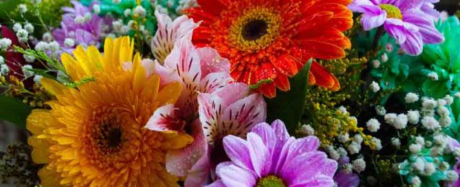 Pugh's Flowers Provide Saint Francis Hospital Flower Delivery in Germantown, TN.