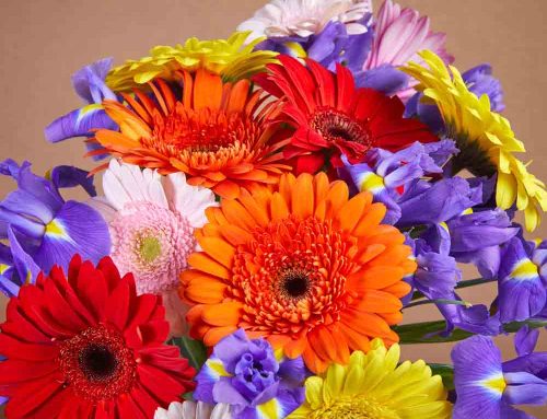 Pugh’s Flowers Offers Same Day Flower Delivery to Bartlett Tennessee