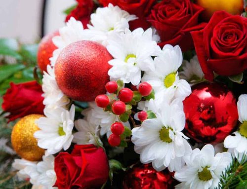 Millington Tennessee Flower Delivery for Christmas and Hanukah by Pugh’s Flowers