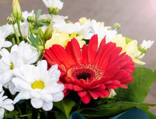 Express Heartfelt Condolences with Sympathy Flowers