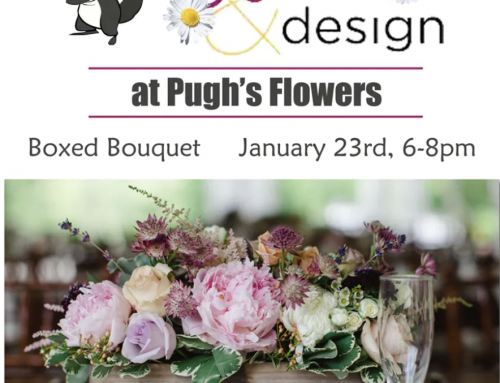 Join Our Wine and Design Event on January 23rd!