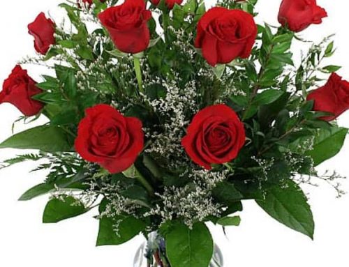 Celebrate National Rose Month With Roses on Sale