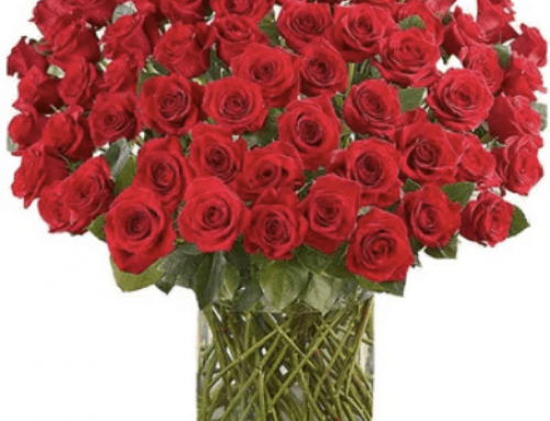Celebrating Roses During National Rose Month