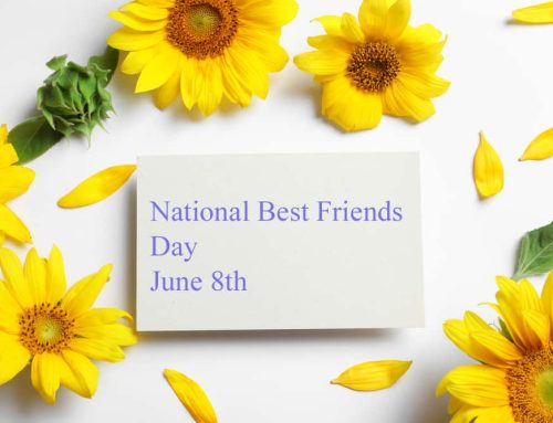 Shop for National Best Friends Day Flowers at Pugh’s Flowers