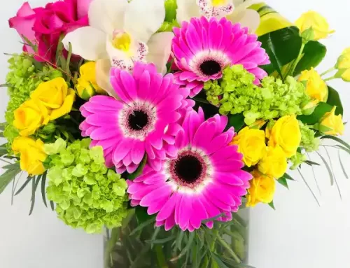 Pugh’s Flowers offers Same Day Flower Delivery to Millington TN Clients