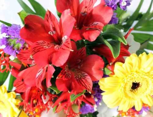 Pugh’s Flowers Serves Southaven, MS with Lovely Same Day Delivery Holiday and all Occasion Flowers