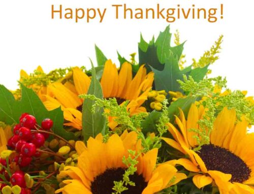 Celebrate Thanksgiving in Collierville, Tennessee with Fresh Same Day Delivery Flowers from Pugh’s Flowers