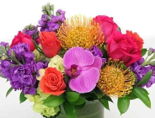 Pugh’s Flowers Offers Caring and Fresh Get-Well Flowers. (See Multi Occasion Discount Coupons Below)