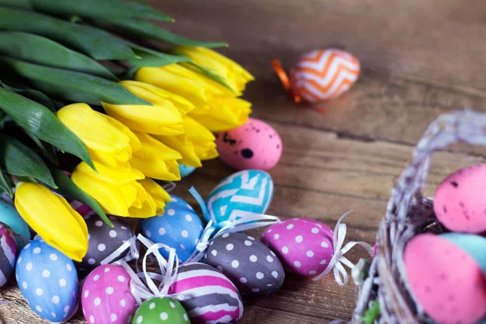 Easter Eggs and Tulips