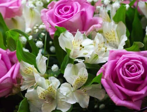 Use Discount Coupons Below for Valuable Savings on May Birthday Flowers and Other Products