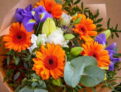 We Offer Gorgeous and Fresh Fall Themed Bouquets and Arrangements!