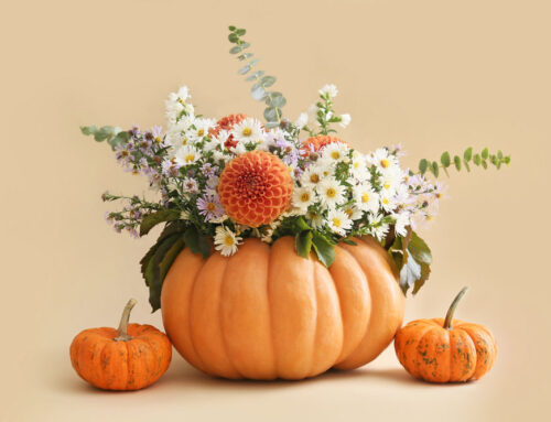 Create Holiday Spirit and Send Our Fresh Halloween Floral Gifts! (DISCOUNTS BELOW)