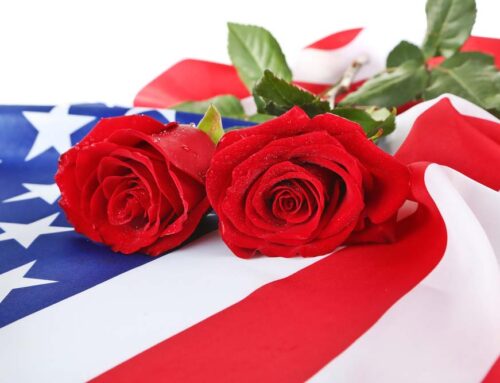Celebrate Veterans Day with our Fresh and Thoughtful Flowers and Plants! (BLOG DISCOUNTS BELOW)