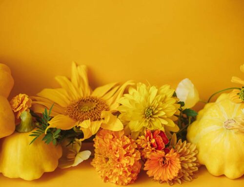 Purchase Thanksgiving Cornucopia, Centerpieces and Flowers Using Our Blog Discounts!