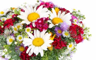 Pugh's Flowers Offers The Best Labor Day Flowers and Plants Corporate Gifting