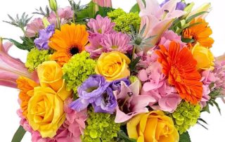 Pugh's Flowers Offers Festive September Birthday Flowers and Plants plus Birthday Themed Gifts We Offer Same Day Delivery for Our Birthday Flower Collection Arrangements