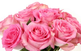 Pugh's Flowers Offers Popular Flowers for October Breast Cancer Awareness Month