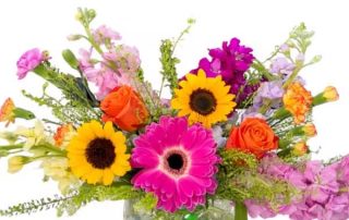 Celebrate World Teachers Day with Flowers from Pugh's Flowers Same Day Local Delivery to Memphis University School