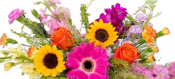 Celebrate World Teachers Day with Flowers from Pugh's Flowers Same Day Local Delivery to Memphis University School