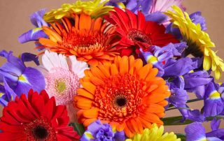 Pugh's Flowers Offers Same Day Delivery of Beautiful Flowers