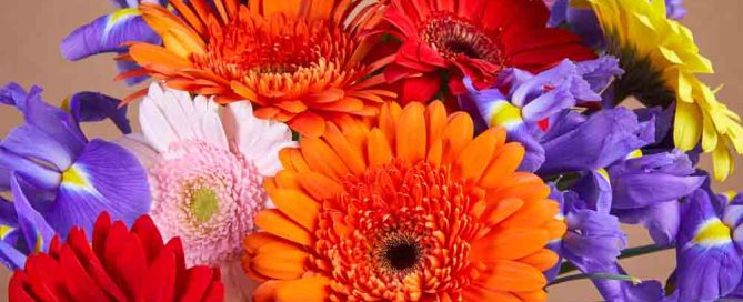 Pugh's Flowers Offers Same Day Delivery of Beautiful Flowers