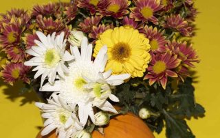 Pugh's Flowers Provides Professional and Timely Southaven Mississippi Flower Delivery