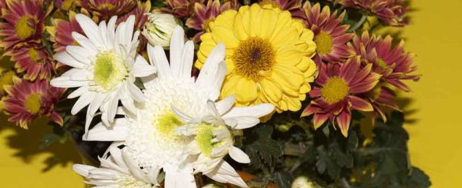 Pugh's Flowers Provides Professional and Timely Southaven Mississippi Flower Delivery