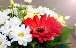 Pugh's Flowers offers beautiful Sympathy Flowers