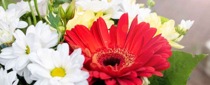 Pugh's Flowers offers beautiful Sympathy Flowers