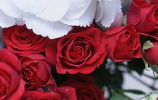 Pugh's Flowers makes Office Flower Delivery for Valentine's Day